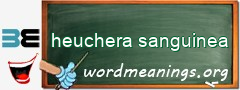 WordMeaning blackboard for heuchera sanguinea